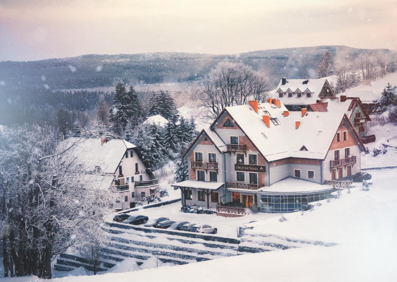 Orlicka Skala Bed & Breakfast Zieleniec  Eksteriør bilde
